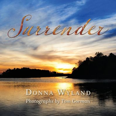 Cover for Donna Wyland · Surrender (Paperback Book) (2019)