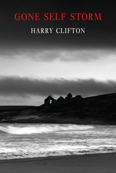 Cover for Harry Clifton · Gone Self Storm (Paperback Book) (2023)