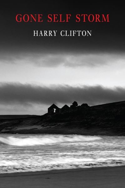 Cover for Harry Clifton · Gone Self Storm (Paperback Book) (2023)