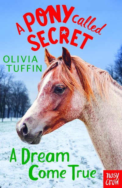 Cover for Olivia Tuffin · A Pony Called Secret: A Dream Come True - A Pony Called Secret (Paperback Book) (2018)