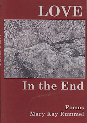 Cover for Mary Kay Rummel · Love in the end (Book) [1st edition] (2008)