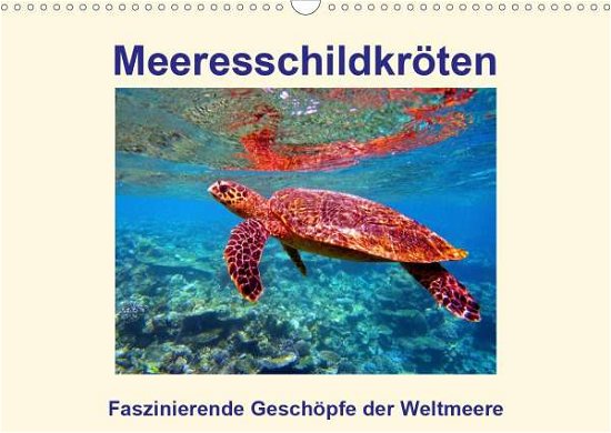 Cover for Hess · Meeresschildkröten - Faszinierende (Bog)