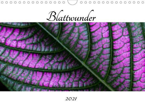 Cover for Otte · Blattwunder (Wandkalender 2021 DIN (Book)