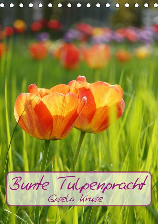 Bunte Tulpenpracht (Tischkalender - Kruse - Böcker -  - 9783672321536 - 