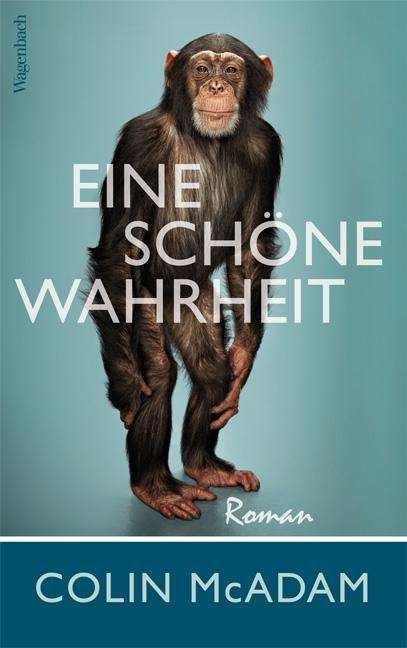 Cover for McAdam · Eine schöne Wahrheit (Book)