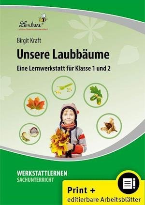 Cover for Birigit Kraft · Unsere Laubbäume. Grundschule, Sachunterricht, Klasse 1-2 (Løsblad) (2014)