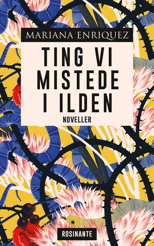 Cover for Mariana Enriquez · Ting vi mistede i ilden (Sewn Spine Book) [1st edition] (2017)