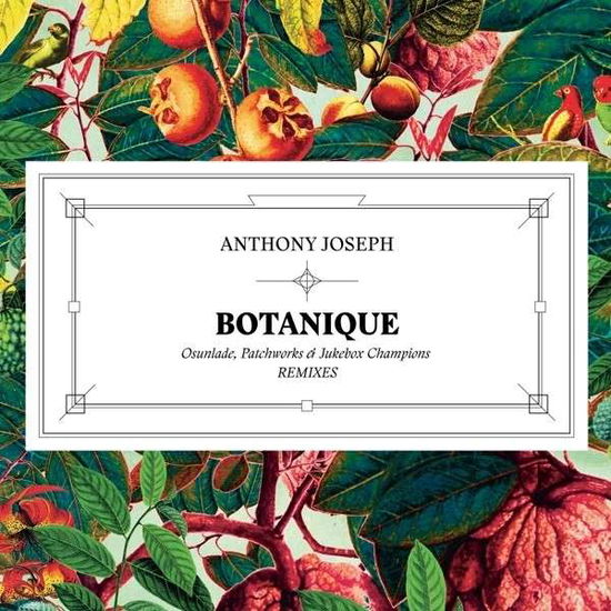 Botanique - Anthony Joseph - Música - HEAVENLY STAR - 3521381530537 - 29 de janeiro de 2015