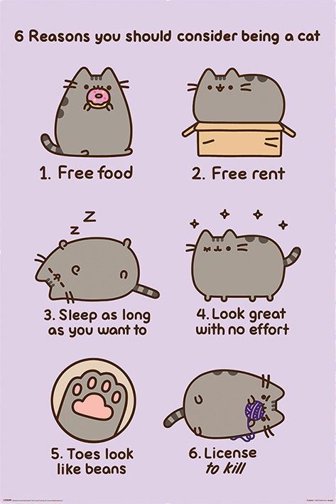 Cover for Pusheen: Pyramid · Reasons To Be A Cat (Poster Maxi 61X91,5 Cm) (MERCH) (2023)