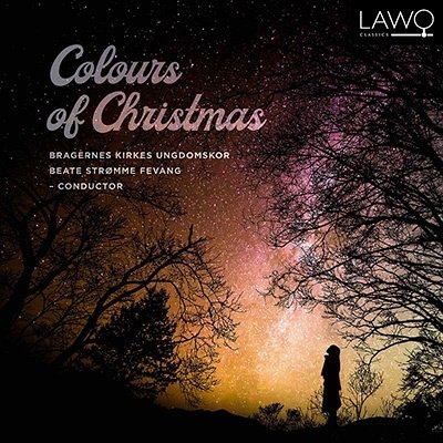 Cover for Bragernes Kirkes Ungdomskor · Colours of Christmas (CD) (2022)