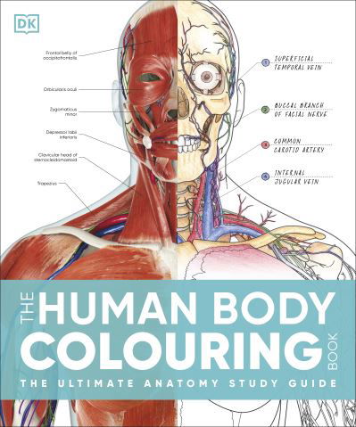Cover for Dk · The Human Body Colouring Book: The Ultimate Anatomy Study Guide - DK Human Body Guides (Paperback Book) (2024)