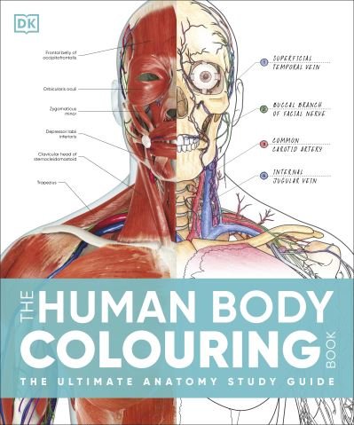 Cover for Dk · The Human Body Colouring Book: The Ultimate Anatomy Study Guide - DK Human Body Guides (Paperback Bog) (2024)