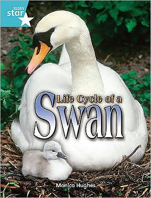 Cover for Monica Hughes · Rigby Star Independent Year 2 Turquoise Non Fiction Life Cycle of a Swan Single - STAR INDEPENDENT (Paperback Book) (2004)