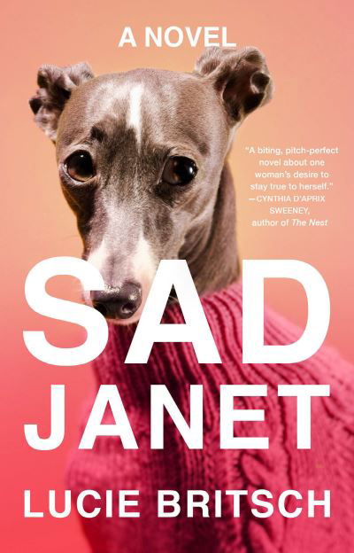 Cover for Lucie Britsch · Sad Janet: A Novel (Paperback Book) (2021)