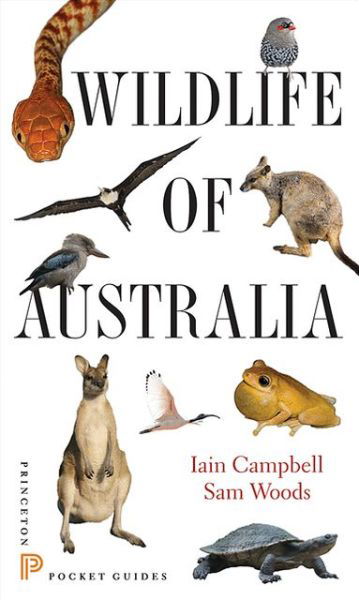 Cover for Iain Campbell · Wildlife of Australia - Princeton Pocket Guides (Paperback Bog) (2013)
