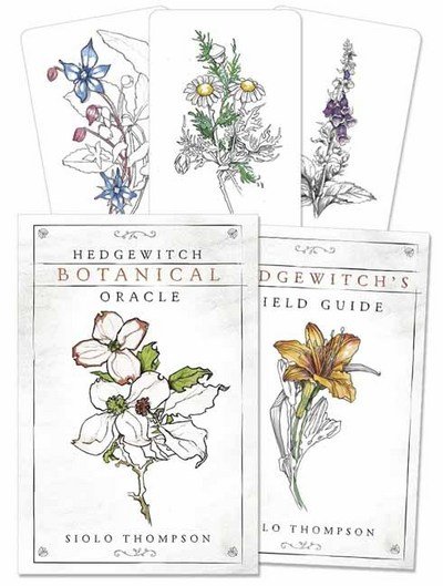 Cover for Siolo Thompson · Hedgewitch Botanical Oracle (Buch) (2018)