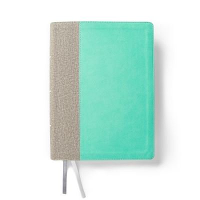 Cover for CSB Bibles by Holman · Lifeway Women's Bible, Gray / Mint LeatherTouch (Läderbok) (2022)