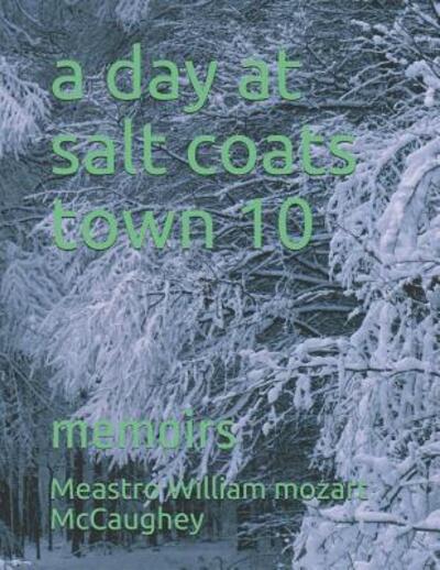 Cover for Meastro William Mozart Simpki McCaughey · A day at salt coats town 10 (Paperback Book) (2019)