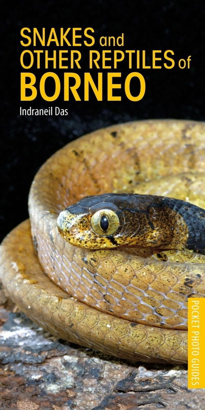 Cover for Indraneil Das · Snakes and Other Reptiles of Borneo - Pocket Photo Guides (Paperback Book) (2020)