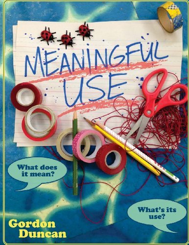 Cover for Gordon Duncan · Meaningful Use: What Does It Mean?  What's Its Use? (Pocketbok) [First edition] (2013)
