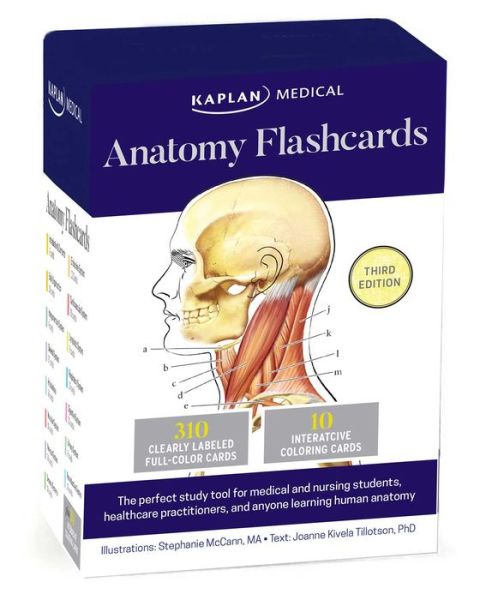 Cover for Joanne Tillotson · Anatomy Flashcards (Flashcards) [Third edition] (2017)