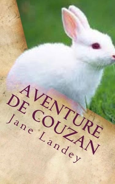 Cover for Jane Landey · Aventure De Couzan (Paperback Bog) (2015)