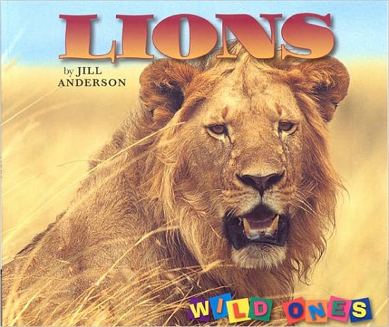 Cover for Jill Anderson · Lions - Wild Ones (Pocketbok) (2006)