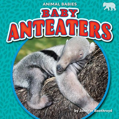 Cover for Jennifer Boothroyd · Baby Anteaters (Book) (2022)