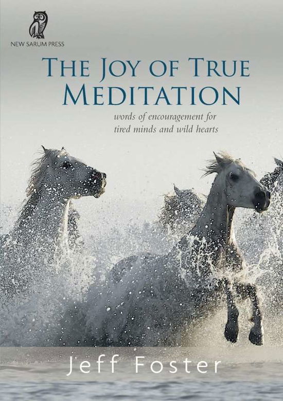 Cover for Jeff Foster · The joy of True Meditation: Words of Encouragement for Tired Minds and Wild Hearts (Taschenbuch) (2019)