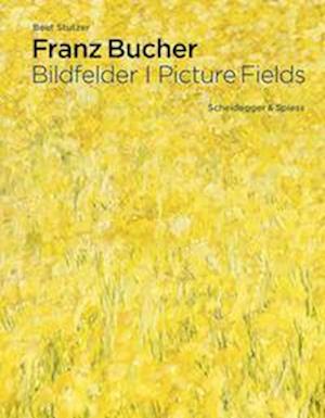 Cover for Beat Stutzer · Franz Bucher. Picture Fields (Hardcover Book) (2022)