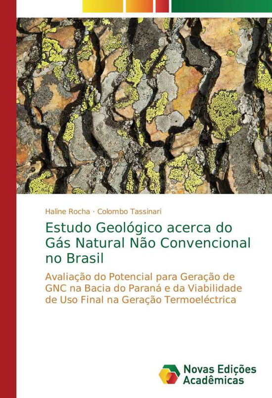 Cover for Rocha · Estudo Geológico acerca do Gás Na (Book)