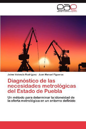 Cover for Juan Manuel Figueroa · Diagnóstico De Las Necesidades Metrológicas Del Estado De Puebla: Un Método Para Determinar La Idoneidad De La Oferta Metrológica en Un Entorno Definido (Paperback Book) [Spanish edition] (2012)