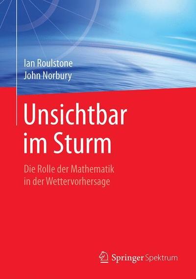 Cover for Roulstone · Unsichtbar im Sturm (Book) (2019)