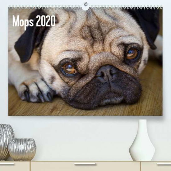 Cover for Zoellner · Mops 2020 (Premium-Kalender 20 (Book)