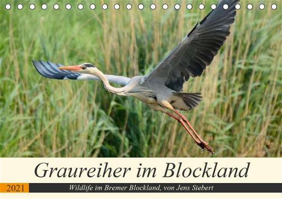 Cover for Siebert · Graureiher im Blockland (Tischk (Book)
