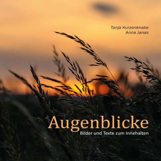 Cover for Janas · Augenblicke (Book)