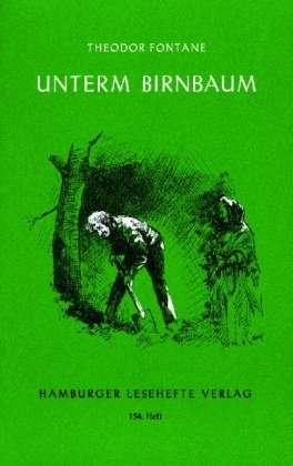 Cover for Theodor Fontane · Hamburger Leseh.154 Fontane.Birnbaum (Book)
