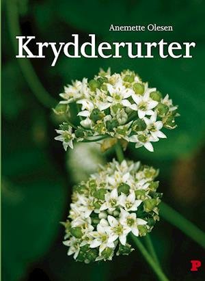 Cover for Anemette Olesen · Krydderurter (Indbundet Bog) [5. udgave] (2010)