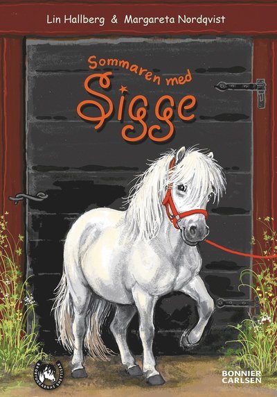 Cover for Lin Hallberg · BUS - Brobyungarnas shettisar: Sommaren med Sigge (Bound Book) (2014)