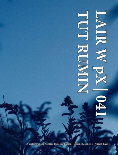 LAIR W pX 041 Tut Rumin - Wetdryvac - Bøger - Blurb - 9798210557537 - 6. maj 2024