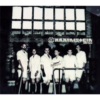 Cover for Rammstein · Haifisch (SCD) (2010)