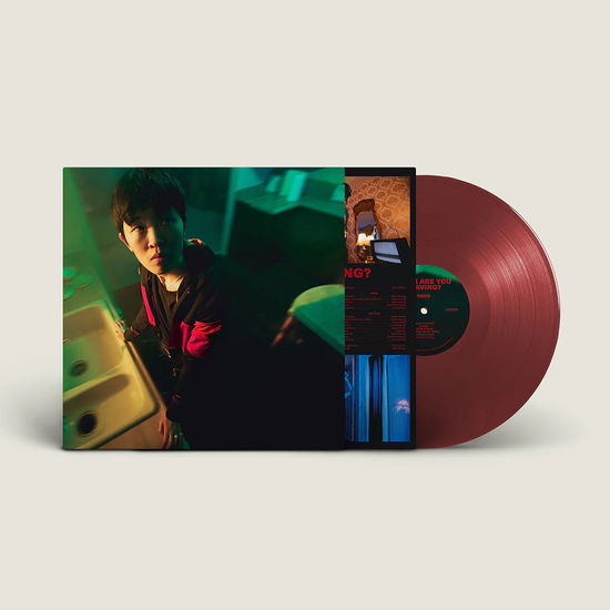 Cover for Noso · When Are You Leaving? (LP) (2025)