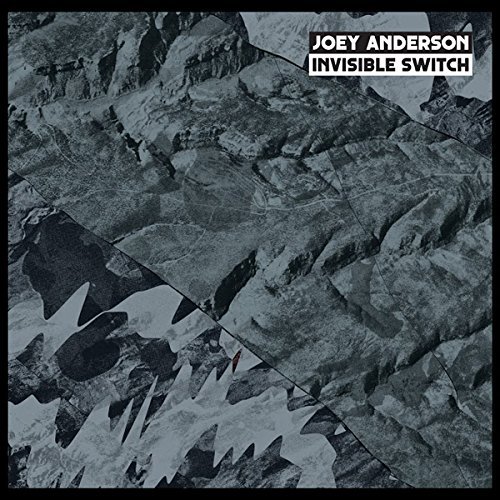 Invisible Switch - Joey Anderson - Musikk - DKMT - 0769791959538 - 8. januar 2016