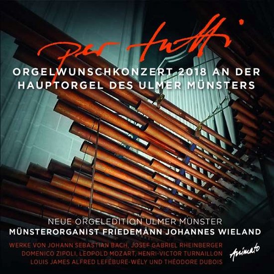 Per Tutti - Friedemann Johannes Wieland - Musik - ANIMATO - 4012116616538 - 6. januar 2020