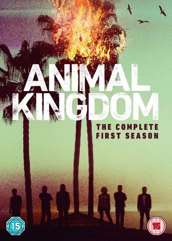 Cover for Animal Kingdom  Complete First Season · Animal Kingdom Season 1 (DVD) (2017)