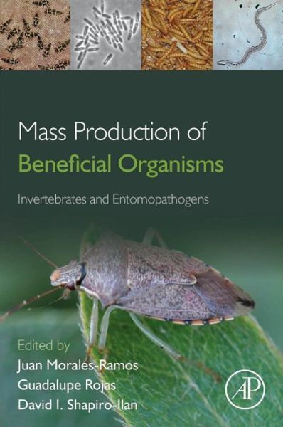 Cover for Juan Morales Ramos · Mass Production of Beneficial Organisms: Invertebrates and Entomopathogens (Hardcover Book) (2013)