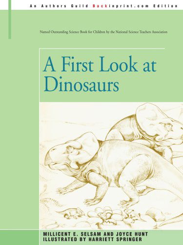 Cover for Joyce Hunt · A First Look at Dinosaurs (Paperback Book) (2005)