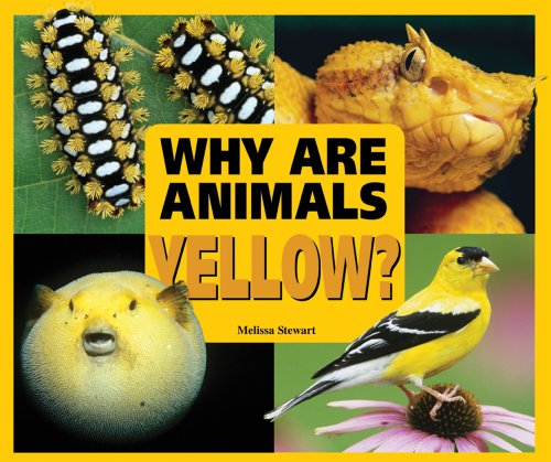 Cover for Melissa Stewart · Why Are Animals Yellow? (Rainbow of Animals) (Hardcover Book) (2009)