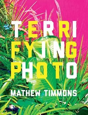 Cover for Mathew Timmons · Terrifying Photo (Paperback Bog) (2014)