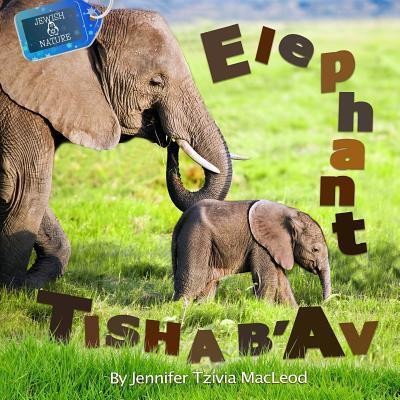 Elephant Tisha b'Av - Jennifer Tzivia MacLeod - Książki - Safer Editions - 9780994068538 - 24 kwietnia 2015